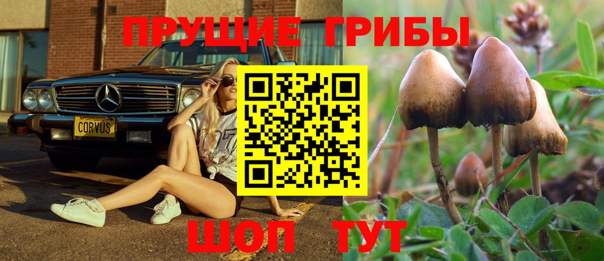Псилоцибиновые грибы GOLDEN TEACHER Кумертау